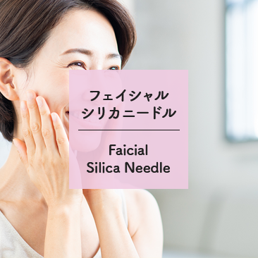 シリカニードル